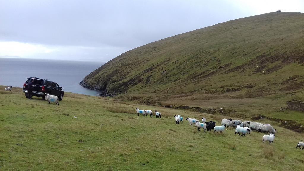 Bed and Breakfast Achill West Coast House Dooagh Екстер'єр фото